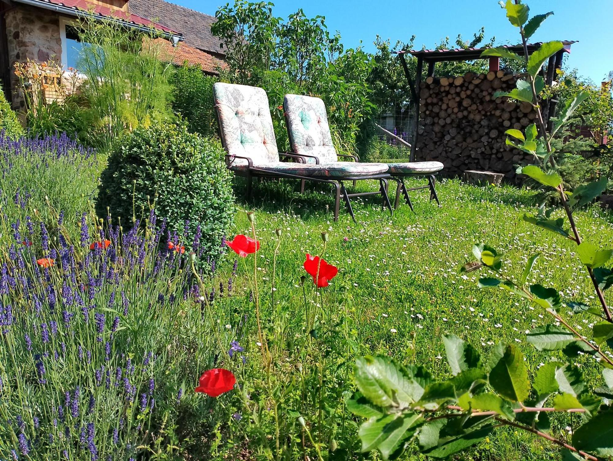 Loft Eifel Idylle Apartment Nettersheim Bagian luar foto